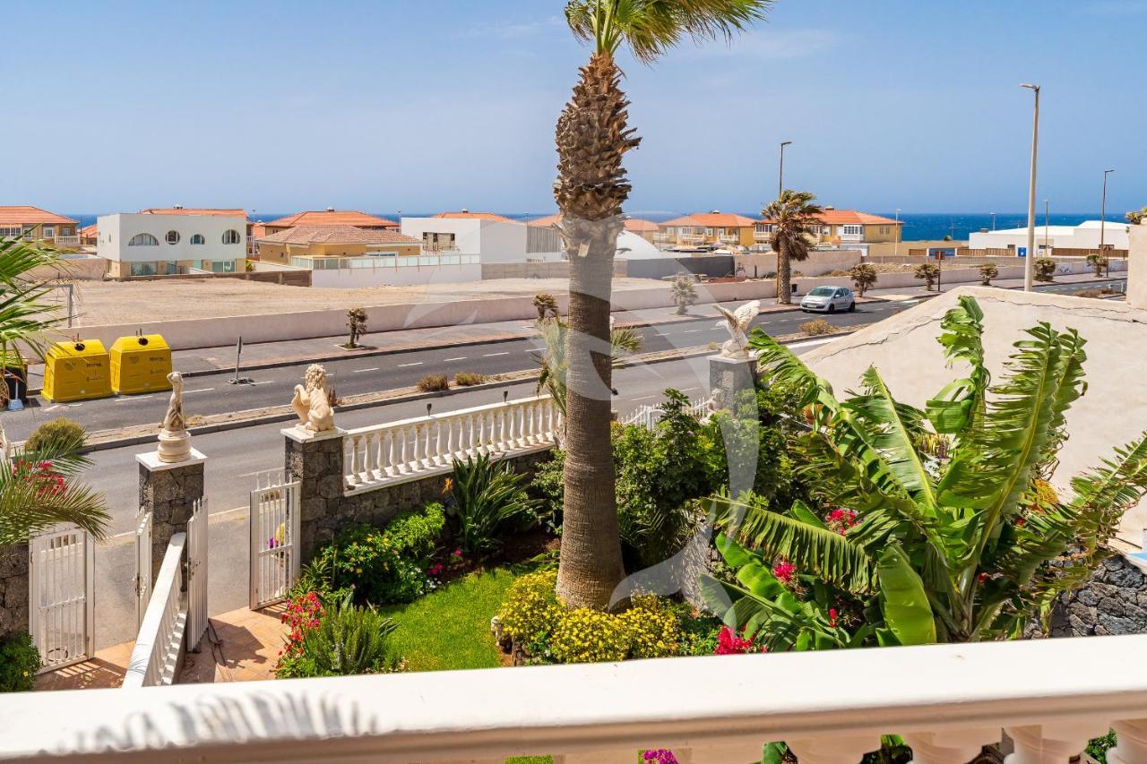 Delfines * El Medano (Tenerife)